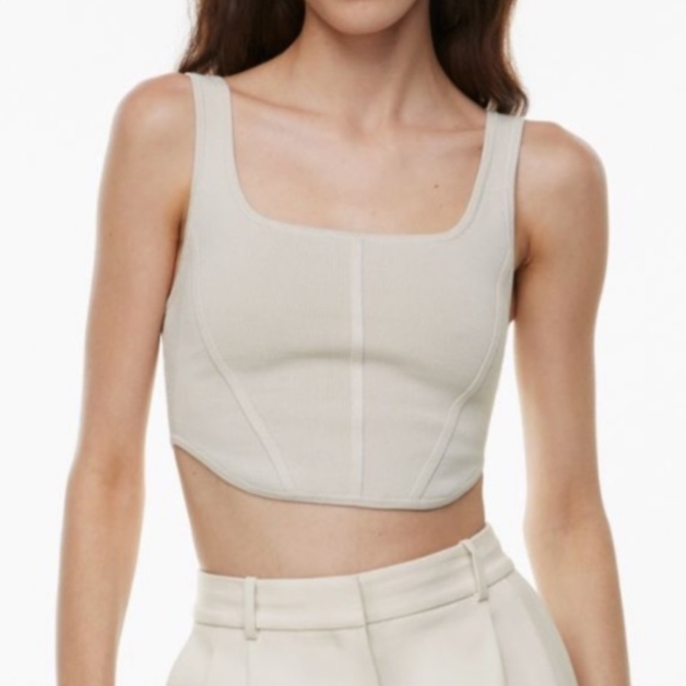 Aritzia (Babaton) corset tank top